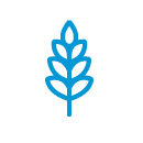 Wheat-icon-130x130-blue