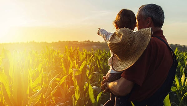 grandfather-chid-sunset-contact-form