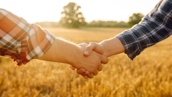 two-men-shaking-hands-wheat-field two-men-shaking-hands-wheat-field